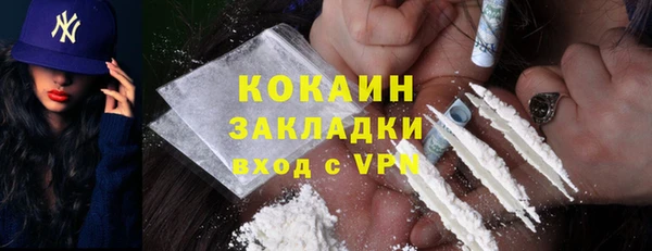 ГАЛЛЮЦИНОГЕННЫЕ ГРИБЫ Белокуриха