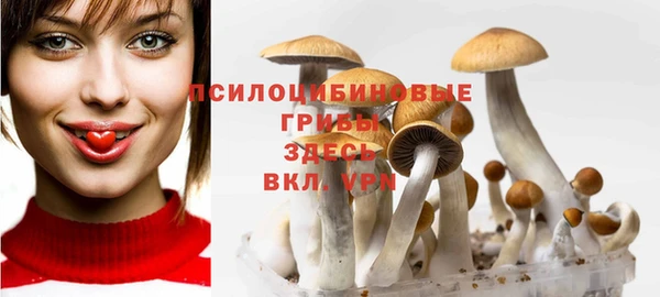 ГАЛЛЮЦИНОГЕННЫЕ ГРИБЫ Белокуриха