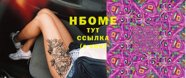 прущие грибы Белоозёрский