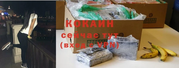 прущие грибы Белоозёрский