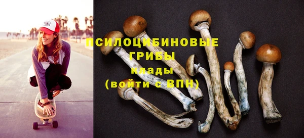 а пвп мука Беломорск
